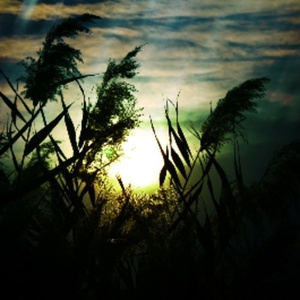 猛男自慰che谢精
