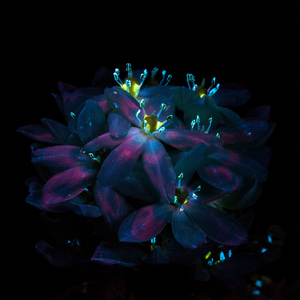 猛男自慰che谢精
